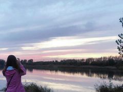 -蒲河岛湿地公园