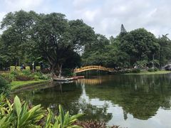 -晓港公园