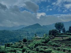 -杨家堂村