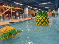 点击看大图 -宝燕乐园(闵行旗舰店)