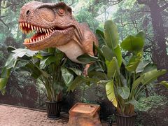 -沈阳植物园