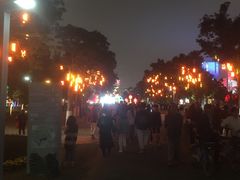 -万绿园
