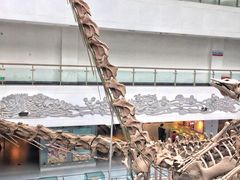 -中国地质大学逸夫博物馆