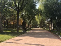-唐城墙遗址公园