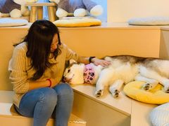 -Husky Go! 哈士奇体验馆·宠物咖啡厅狗咖
