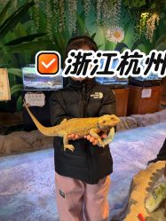 -酷嗒动物文化乐园(cutezoo西溪乐天城店)