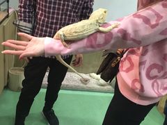 -藦茜花园宠物主题亲子互动体验馆(国顺东路店)