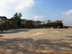 -羊山湖公园
