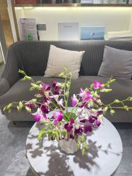 -MIDA蜜哒•科技逆龄美肤连锁