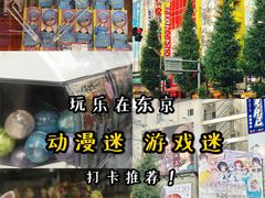 -秋叶原电器街