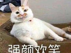 -尚府一品·烤鸭·新京菜(圆明园店)