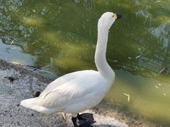 -北京鹿世界主题园