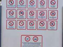 -上海山野camping·户外天幕烧烤·团建拓展营地