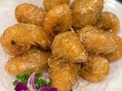 金牌元宝虾-调鼎居·手工淮扬菜