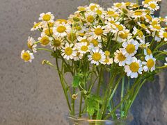 -红小满休闲餐厅(十全街店)