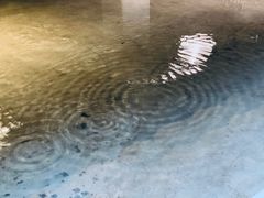 -瓦库茶馆17号(海汇港店)