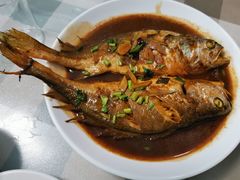 红烧大黄鱼-华春餐馆(鱼山路店)