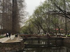 -三好坞景观餐厅