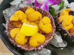 -老大连·海肠捞饭·大连海鲜大连菜(西安路店)