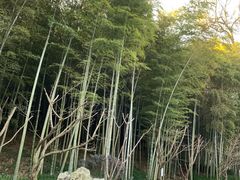-苏州环秀晓筑养生度假村