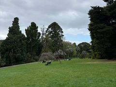 -墨尔本皇家植物园