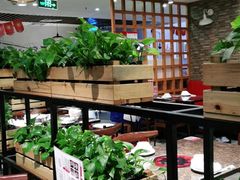 大堂-八合里潮汕鲜牛肉火锅(深圳海岸城店)
