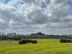 -光明小镇欢乐田园