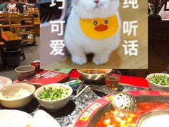 -蜀辣居鲜货老火锅(双流万达店)
