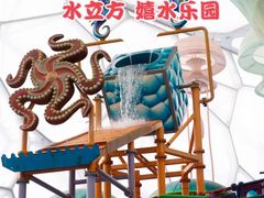 -水立方嬉水乐园