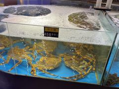 -蟹之国·精品蟹料理(极地店)