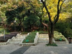 景点-伯先公园