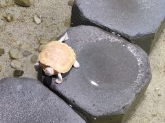 -嘉兴海底世界