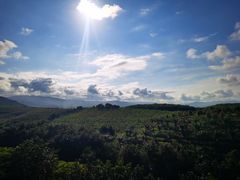 -西双版纳融创皇冠假日度假酒店