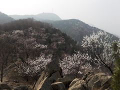 -北京鹫峰国家森林公园
