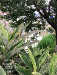 -金芙美月子中心(财富别墅店)
