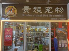 -贵族宠物·宠物美容(三阳路店)
