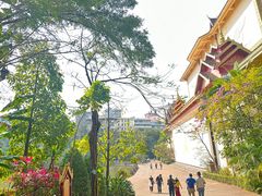 -曼听御花园