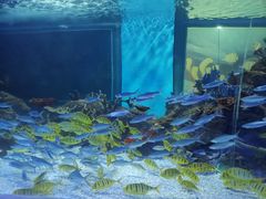 -常州海昌海洋探索馆