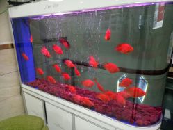 -成都军建医院·疤痕诊疗中心