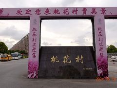-南汇桃花村