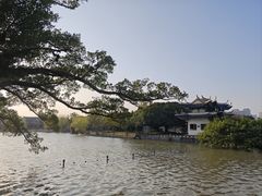 -江心屿景区