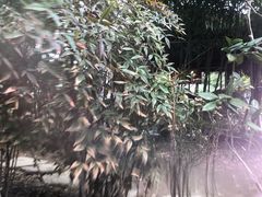 -观唐（国际）度假村温泉