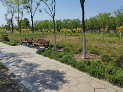 -天津东丽湖风景区