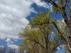 -永定河休闲森林公园