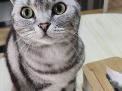 -联合动物医院(光谷诊疗中心)