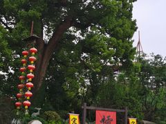 -杭州宋城