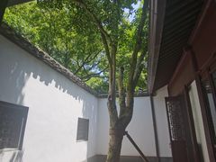 -上海醉白池公园