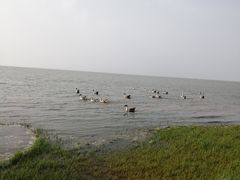 -鄱阳湖国家湿地公园