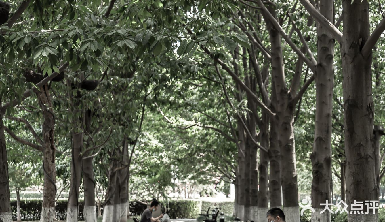我爱大武汉 | 首义广场