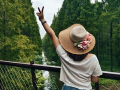 -黄海国家森林公园